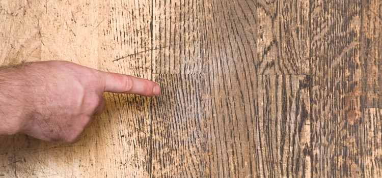Wood Door Scratch Repair in South Pasadena